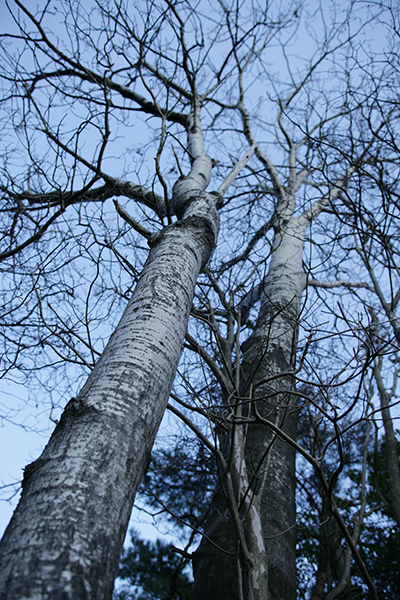 2025年を振り返って